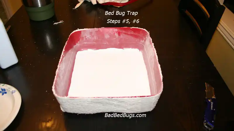 Homemade Bed Bug Trap 